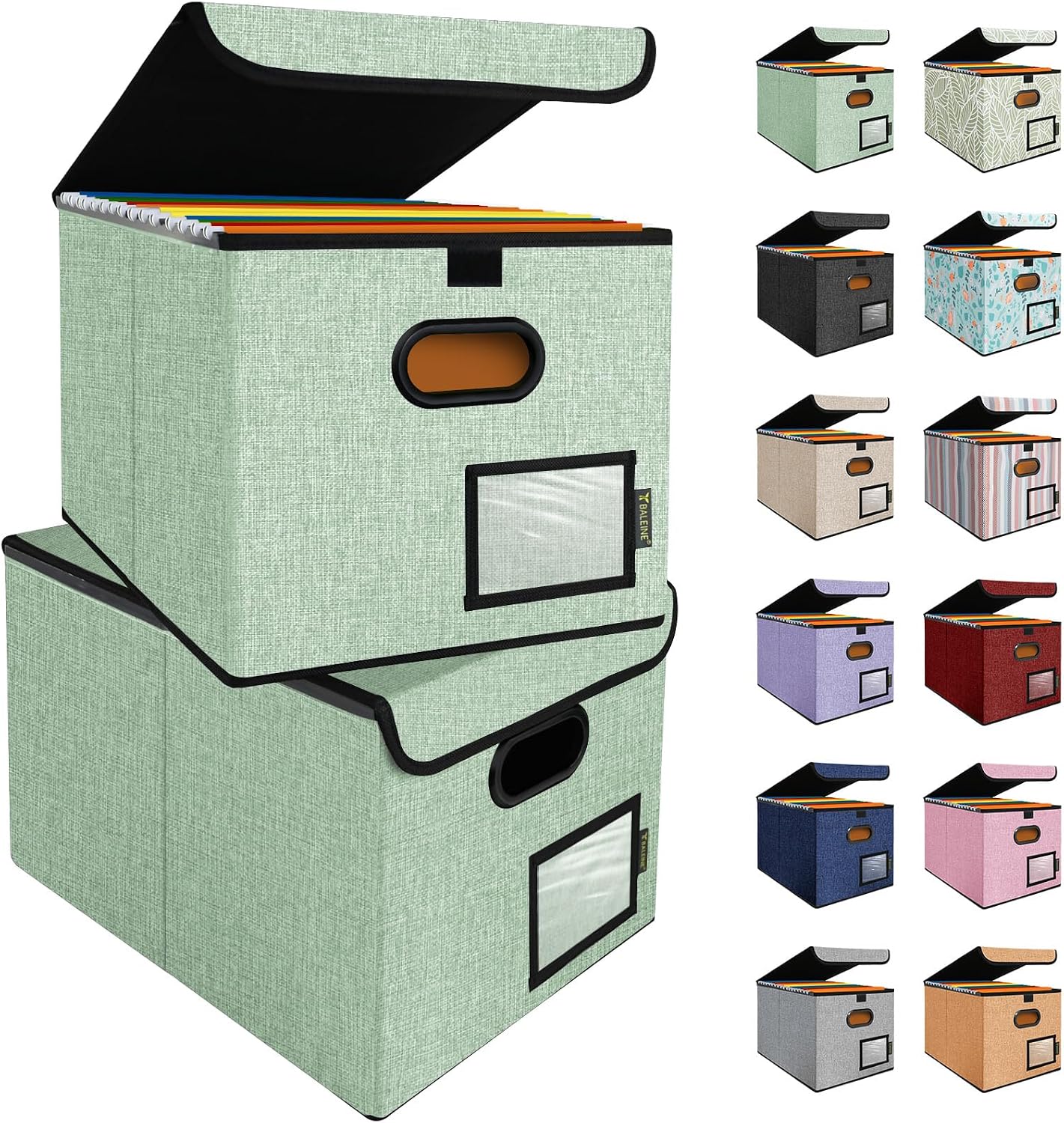 BALEINE File Organizer Box with Lid, Collapsible File Folder Organizer with Plastic Slide...