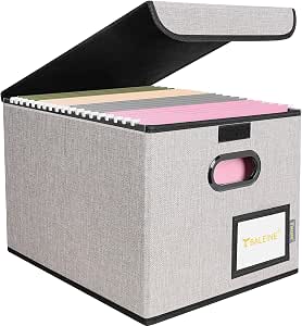 BALEINE File Organizer Box with Lid, Collapsible File Folder Organizer with Plastic Slide...