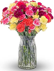 Benchmark Bouquets Mini Carnation Bouquet – Fresh Flowers for Delivery – Pink Yellow...