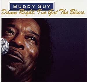 Damn Right, I've Got The Blues image