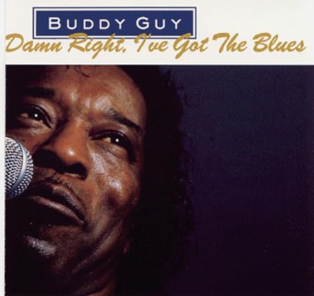 Damn Right, I've Got The Blues image