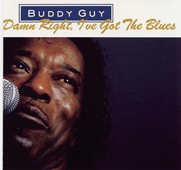 Damn Right, I've Got The Blues image