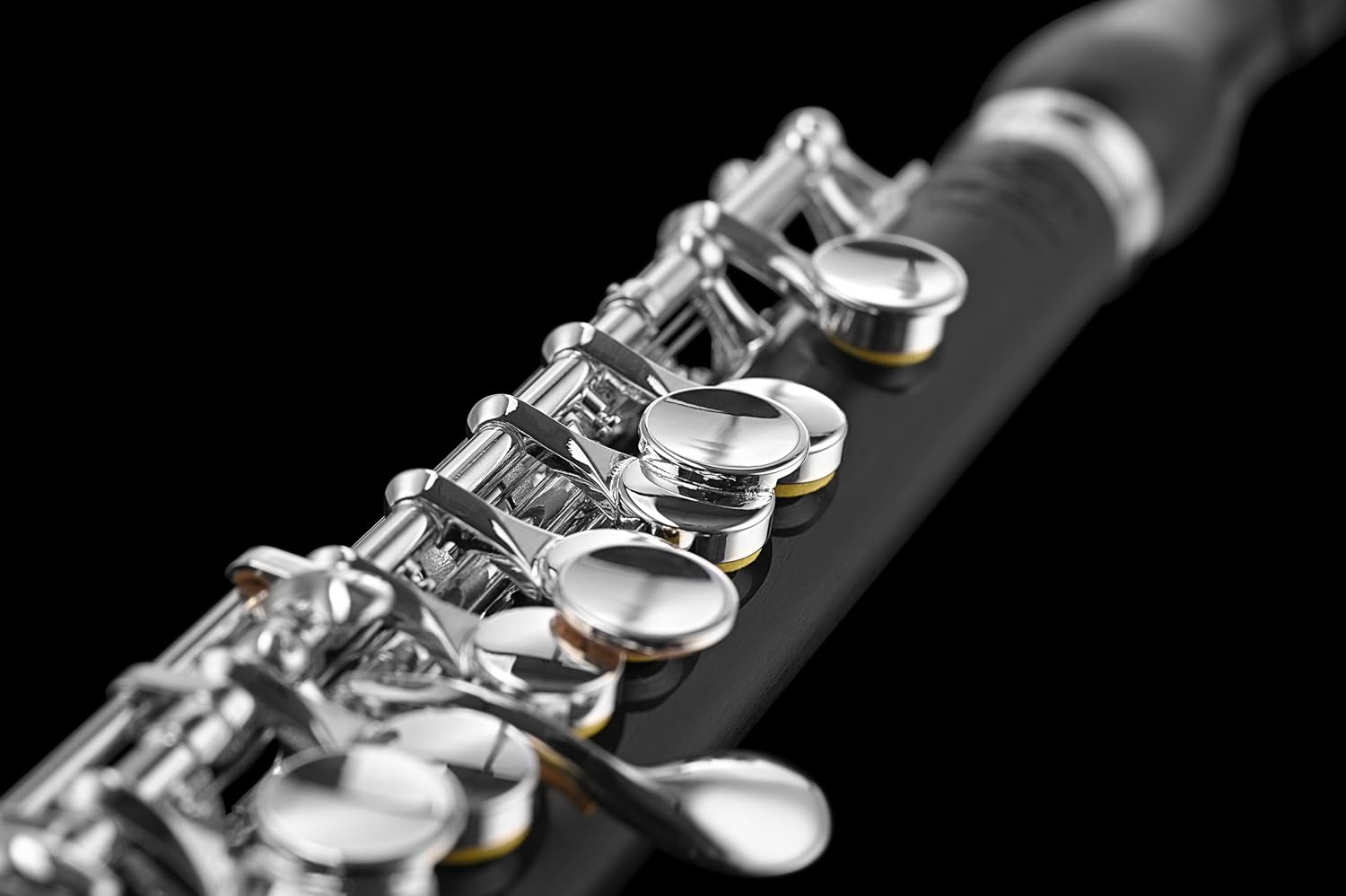 Di Zhao DZP-102 Plastic-Grenadilla Piccolo | Raised Profile Headjoint | Split E Mechanism |... image