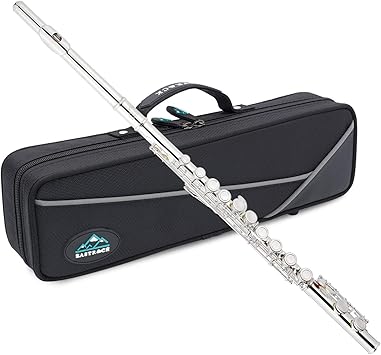 EastRock Closed Hole Flutes C 16 Key for Beginner, Kids, Student Silver Nickel Flute with... image