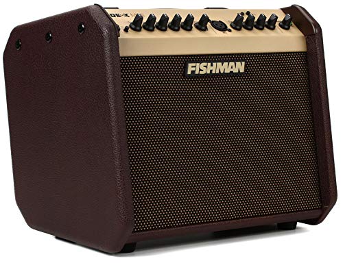 Fishman Loudbox Mini BT 60-Watt 1x6.5 Inches Acoustic Combo image
