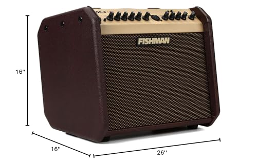Fishman Loudbox Mini BT 60-Watt 1x6.5 Inches Acoustic Combo image