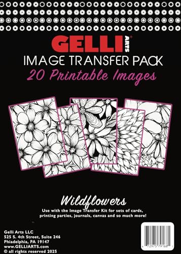 Gelli Arts Image Transfer Kit for Crafting Transfer Kit – Gelli Plate Set with Roller... image