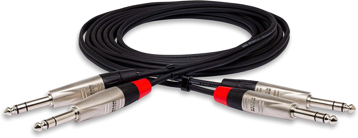 Hosa HSS-010X2 Pro Stereo Interconnect, Dual REAN 1/4 Inch TRS to Same, 10 Feet