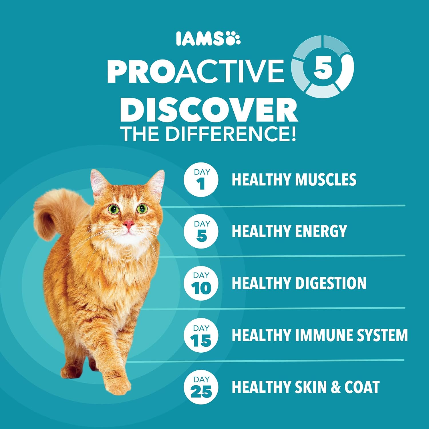 IAMS Proactive Health Dry Cat Food, Indoor Weight and Hairball Care Cat Food Dry Recipe... image
