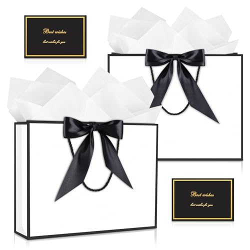JMANNI Gift Bags with Handles, 11” Small Gift Bag for Presents, 2 Pcs Bags with 4 Tissue... image