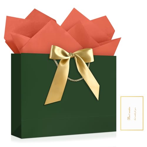 JMANNI Gift Bags with Handles, 13” Medium Gift Bag for Presents, 1 Pcs Bags with 2 Tissue... image