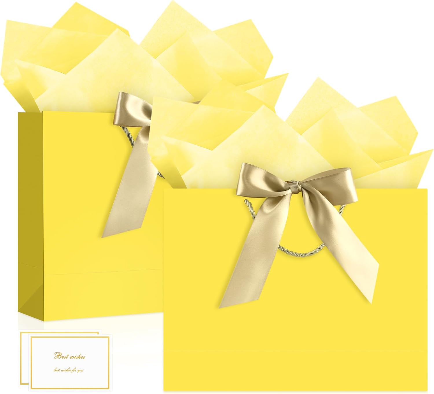 JMANNI Gift Bags with Handles, 13” Medium Gift Bag for Presents, 2 Pcs Bags with 4 Tissue...
