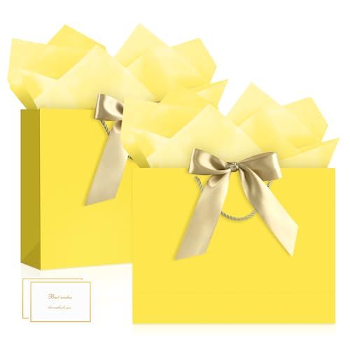 JMANNI Gift Bags with Handles, 13” Medium Gift Bag for Presents, 2 Pcs Bags with 4 Tissue... image