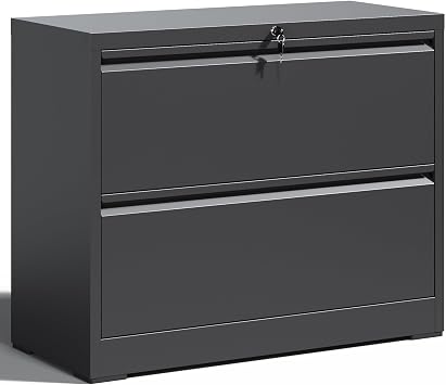 Locking File Cabinet with 2 Drawer Heavy Duty Large Metal Filing Cabinets Home Office Black... image