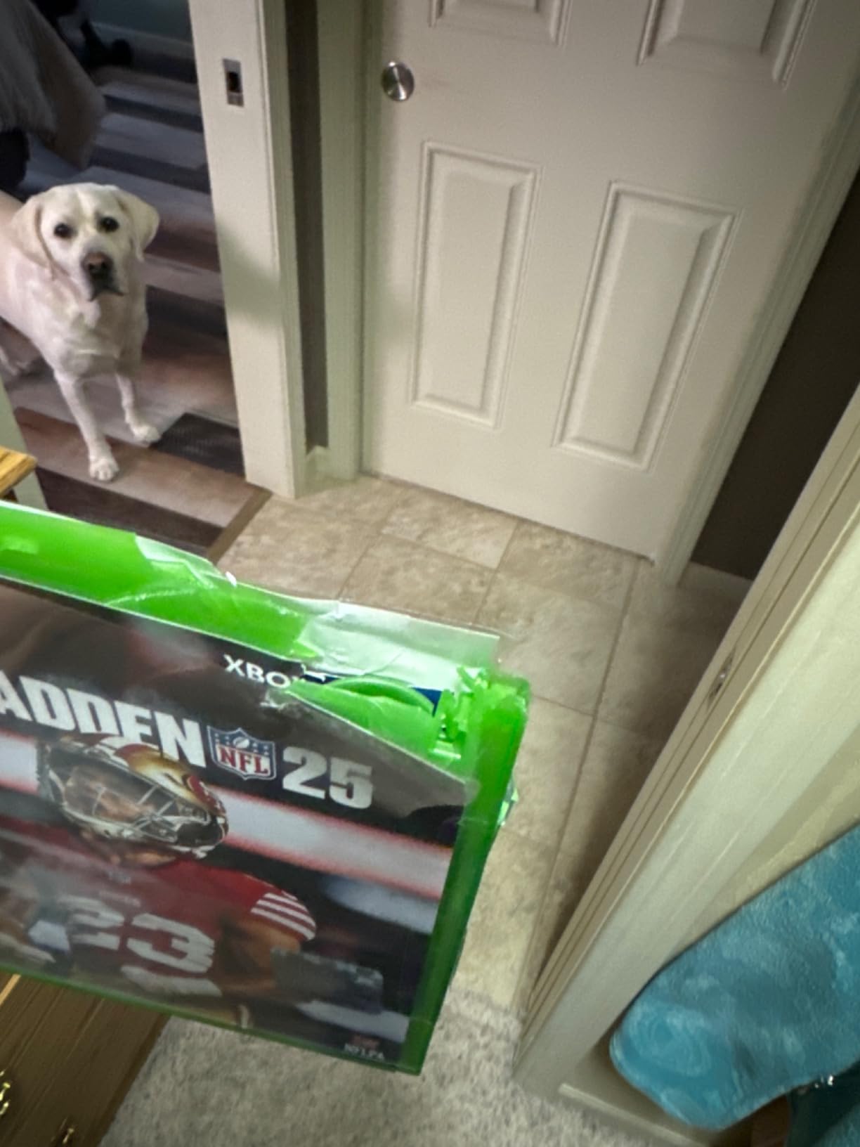 Madden NFL 25 - Xbox Series X