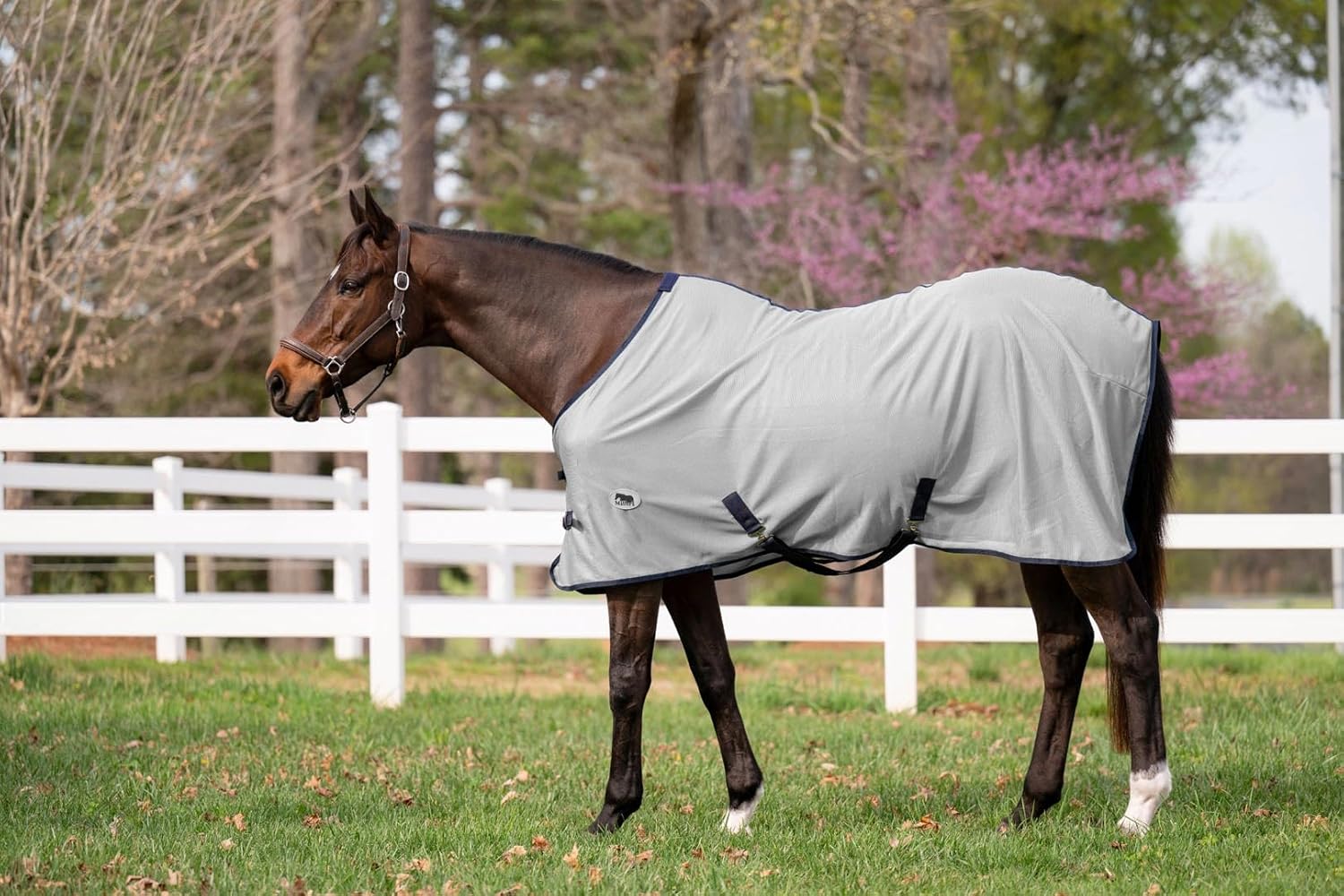 Miller's Fly Sheet for Horses-Gray with Royal Trim-78