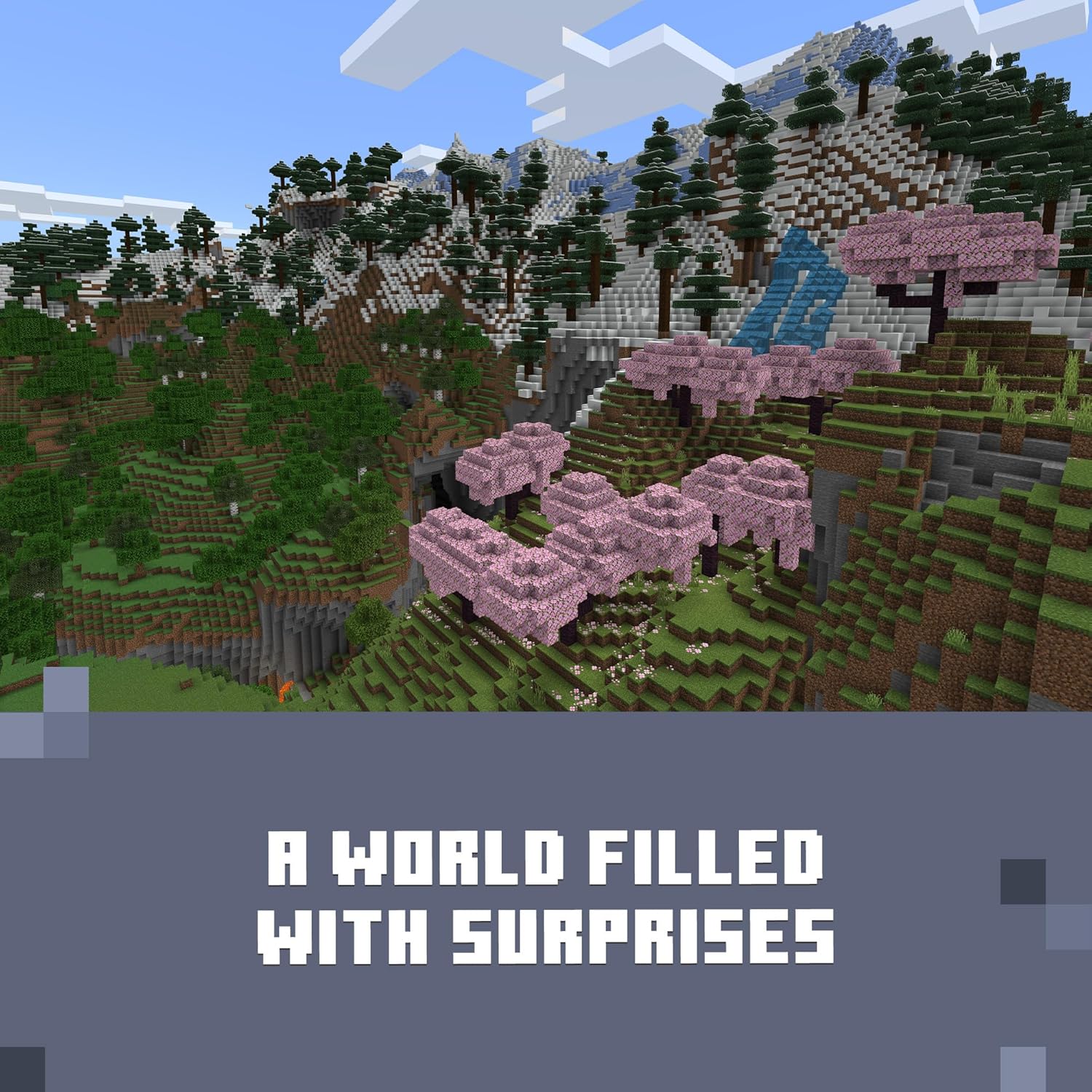 Minecraft | Standard Edition | XBOX Digital image