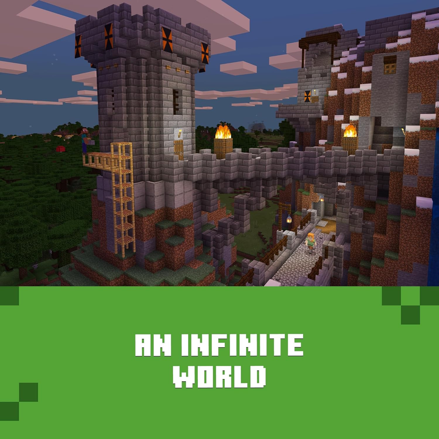 Minecraft | Standard Edition | XBOX Digital image