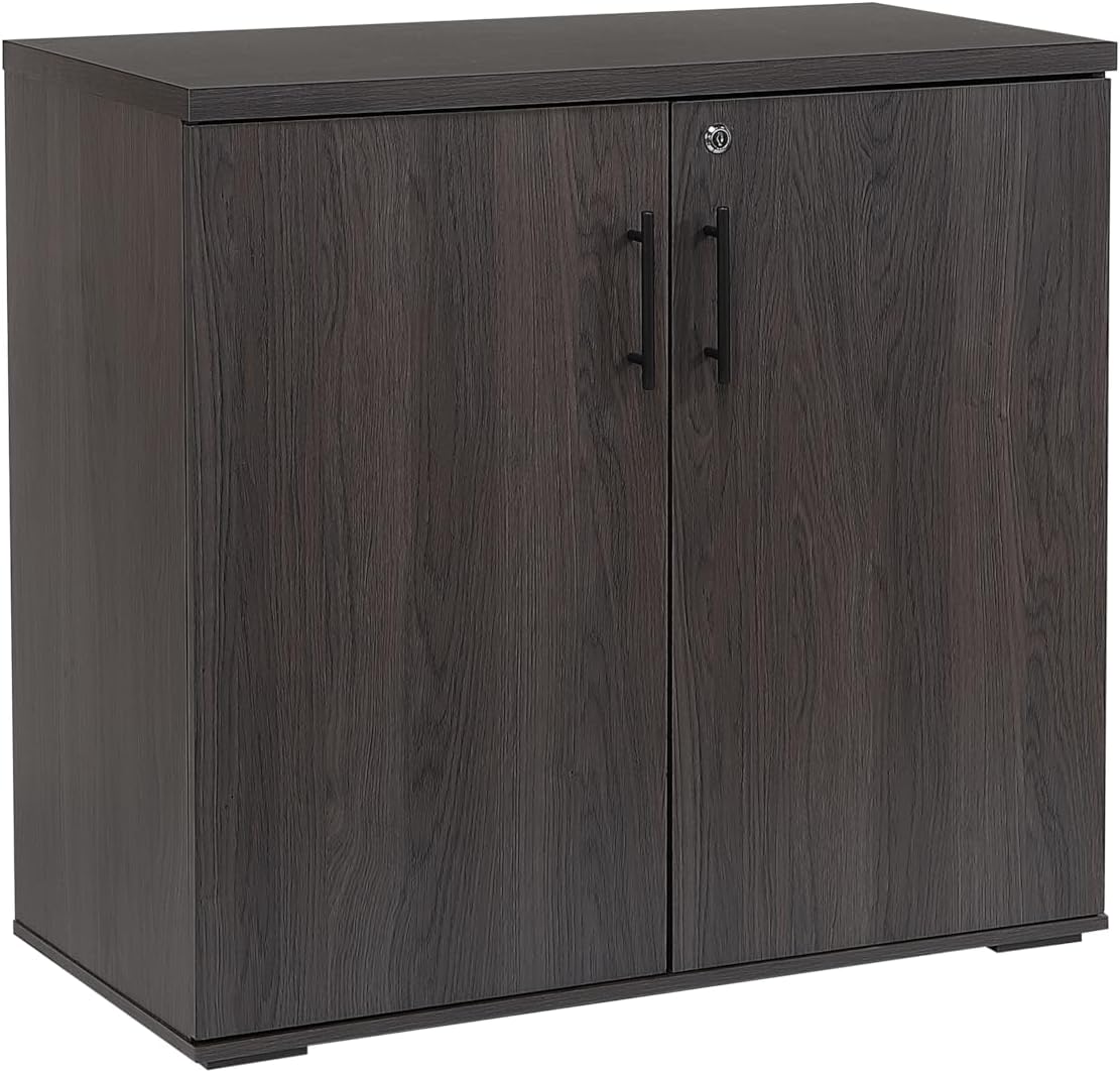 MMT Furniture Designs Ltd Office Storage Cabinet 2 Door Locking - File Cabinet Organiser...