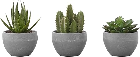 Monarch Specialties I 9587 Artificial Plant, 6" Tall, Succulent, Indoor, Faux, Fake, Table... image