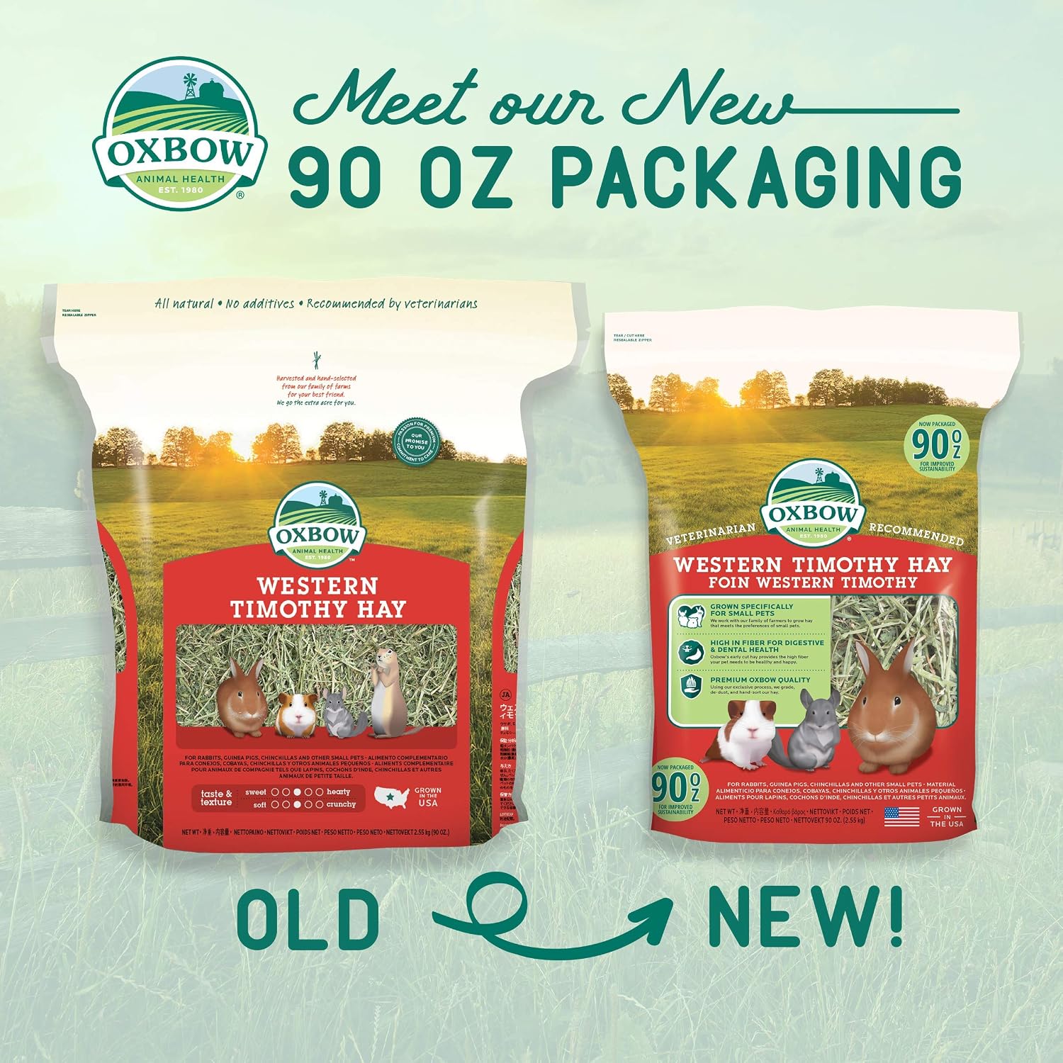 Oxbow Western Timothy Hay, Guinea Pig Hay, Small Pet Bunny Supplies, All Natural Grass for... image