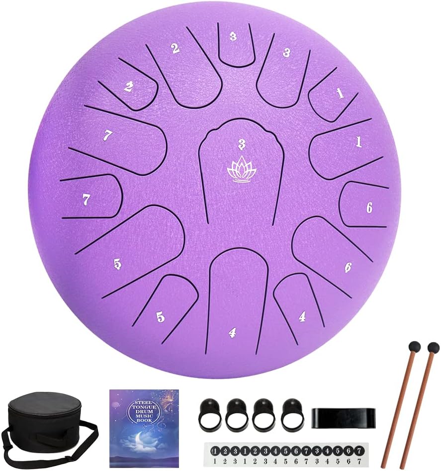 Rain Drum for Outside Garden,Steel Tongue Drum 12 Inches 15 Notes Musical Instruments...