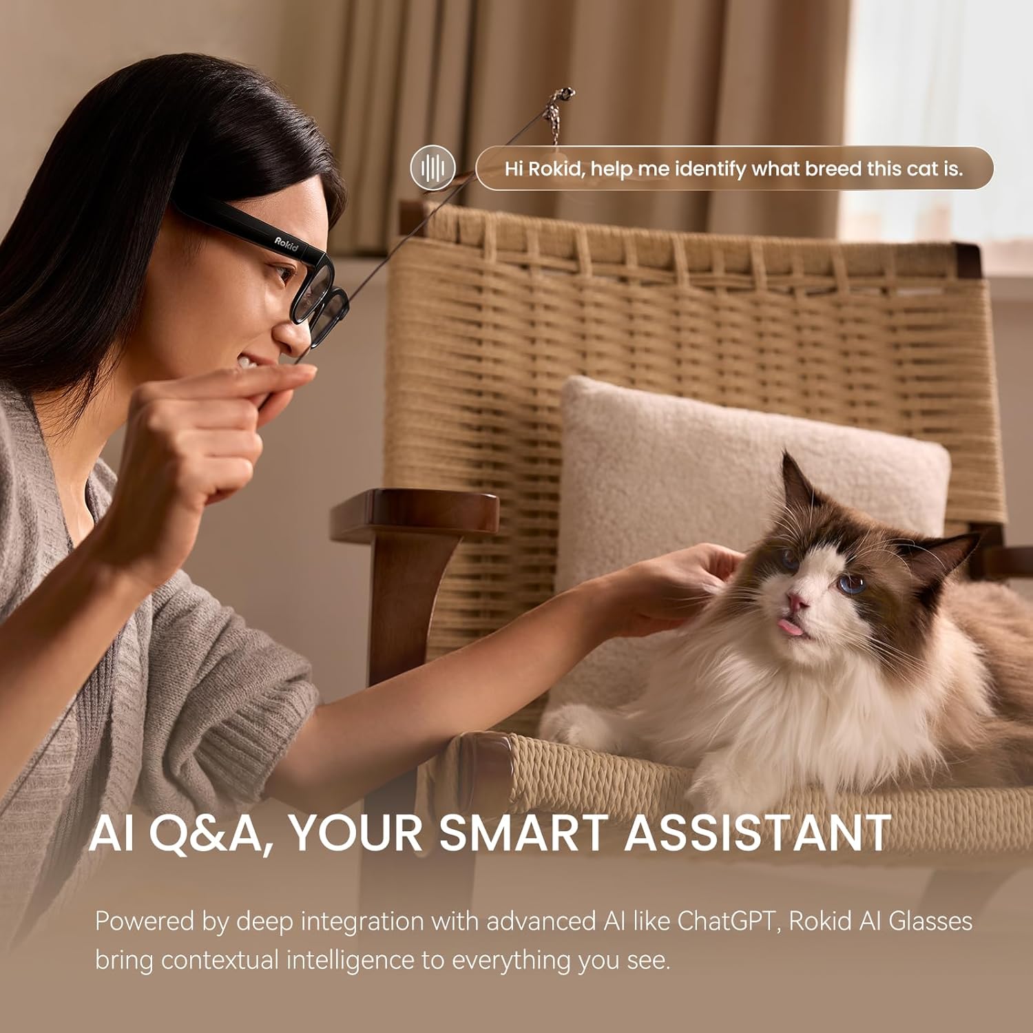 Rokid Ai Glasses Style (Non-Display), 2026 Smart Audio Sun Glasses with ChatGPT & Gemini... image