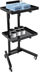 Stainless Steel Salon Trolley with Blow Dryer Holder | 2-Tier Mobile Cart,Black, 4...
