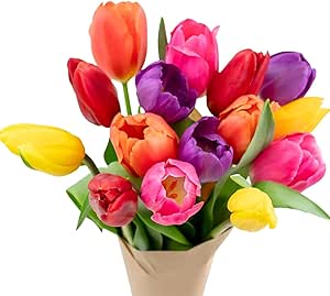 Stargazer Barn 15 Stem Rainbow Tulips Bouquet - Fresh Cut Flower Delivery, Hand-Tied in the...