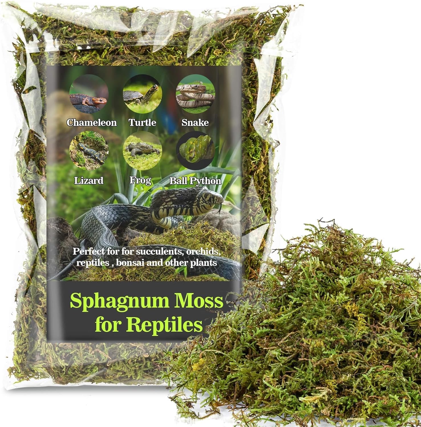 Sukh Sphagnum Moss for Reptiles - Terrarium Reptiles Moss Green Dried Peat Moss Habitat...