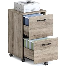 VASAGLE File Cabinet, Mobile Filing Cabinet with Wheels, 2 Drawers, Open Shelf, for A4...